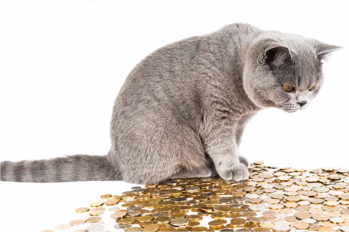 Differenze tra Promotore finanziario e consulente finanziario indipendente