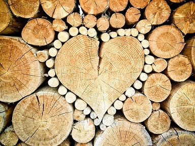 Investire nel legno perchè quali opportunità